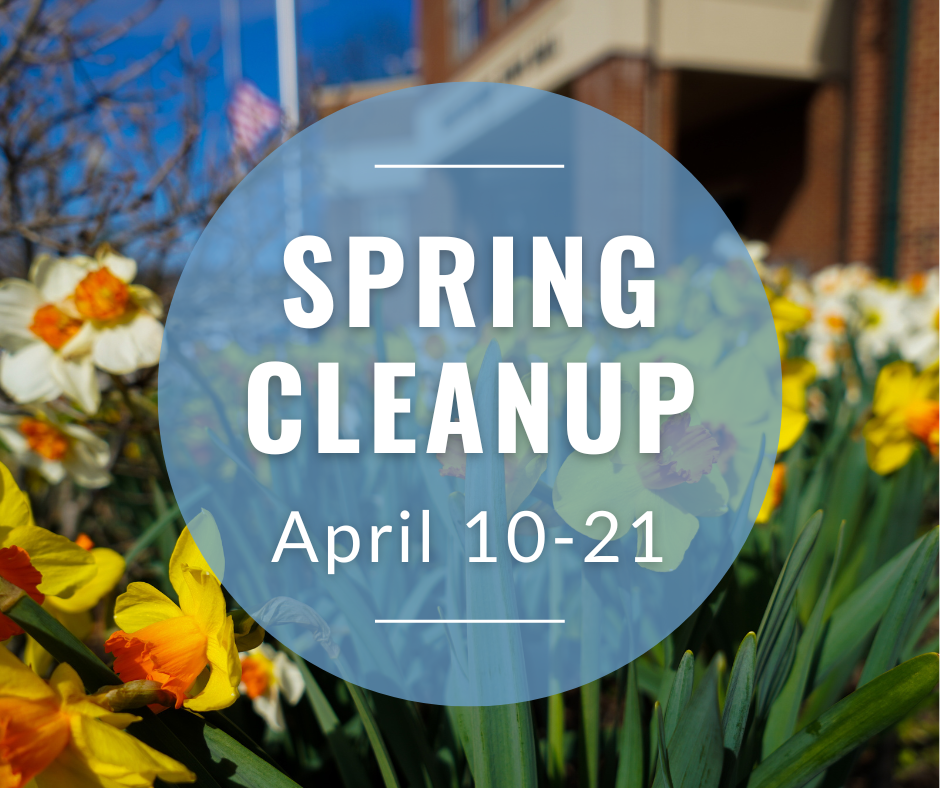 Spring Cleanup
