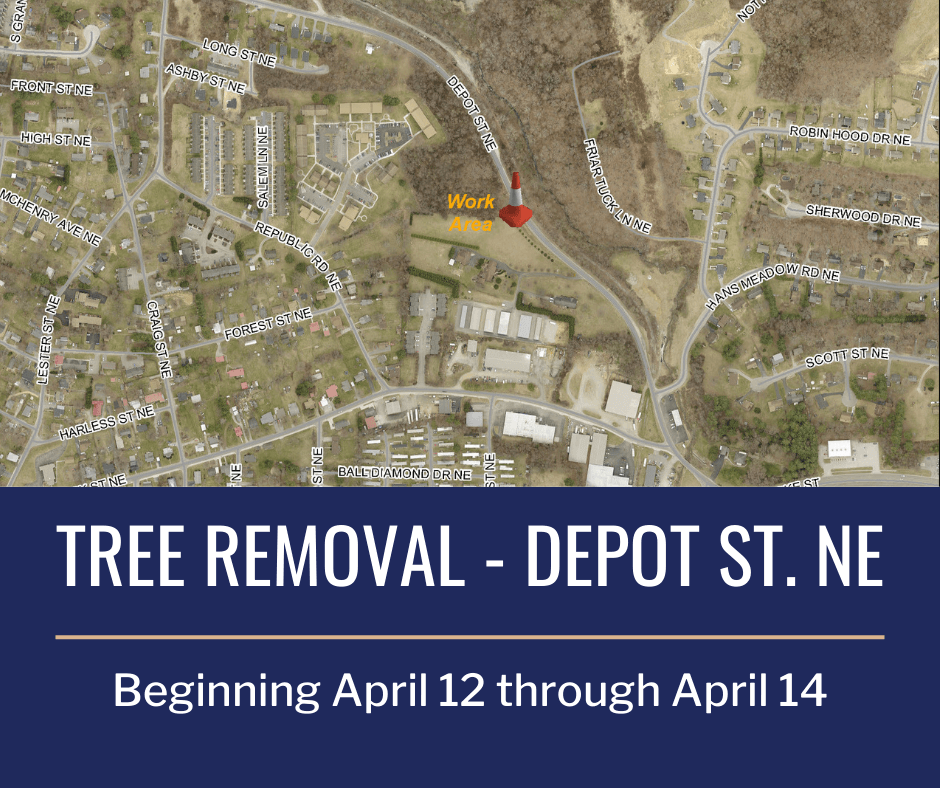 Depot St. Tree Removal