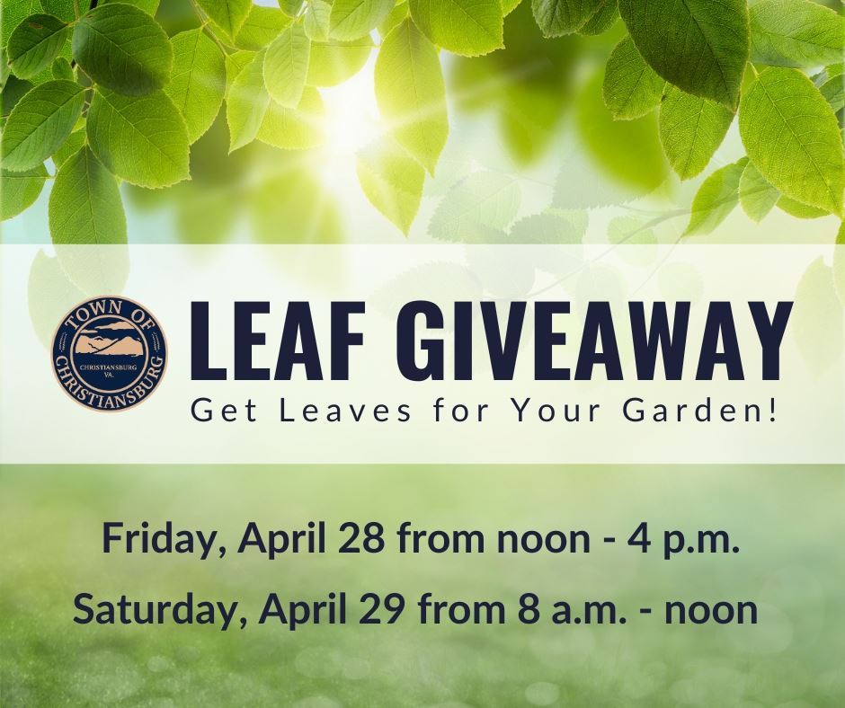 LeafGiveaway