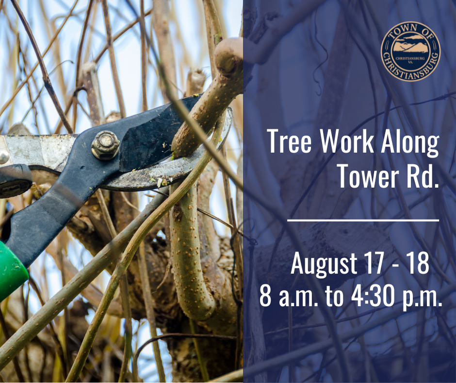 Image of loppers trimming tree branches