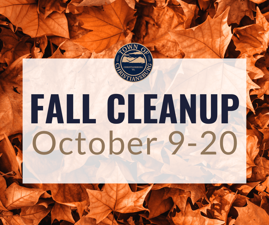 Fall Cleanup