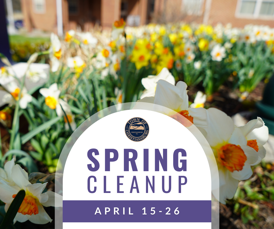 Spring Cleanup 2024