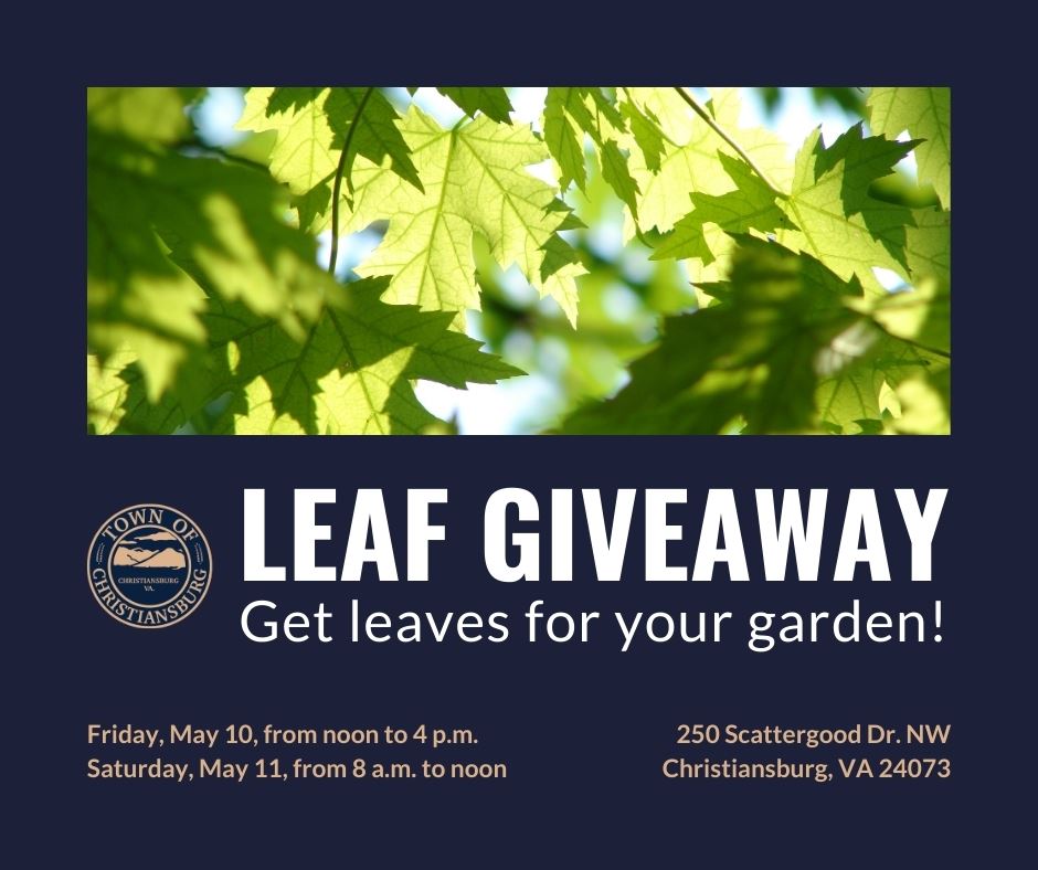 Leaf Giveaway