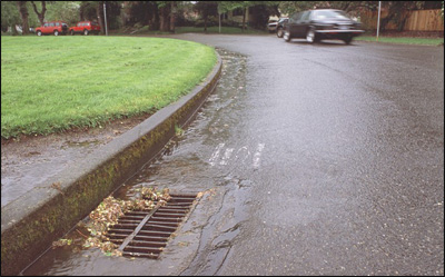 stormdrain